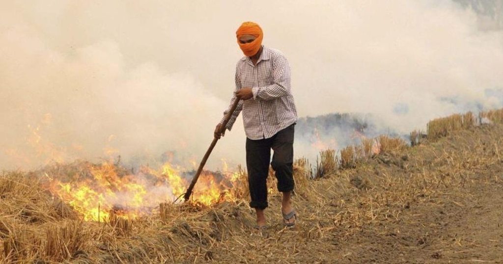 100 Crore Project Sanctioned For Tackling Crop Burning In North India