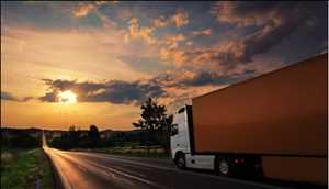Global Freight & Logistics Market Insight