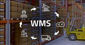 Global WMS Market Insight
