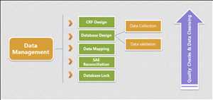 Global Database Management Services Market demand