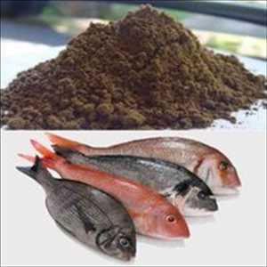 Global Defatted Fish Meal Market Insights 