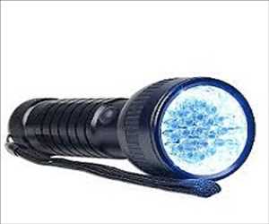 Global LED Flashlight Market Size 